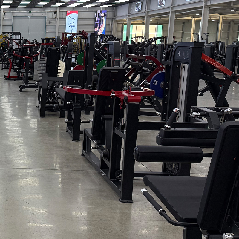 Equipo de Entrenamiento de Fue - Home Gym Machine reseña y precio