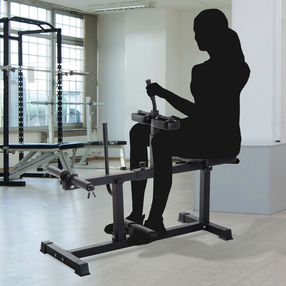 Máquina Ajustable para Ejercic - Seated Calf Raise reseña y precio
